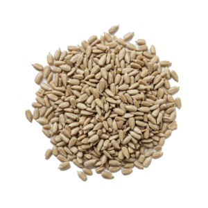 MB_Ingredients_IMG_DRY_Sunflower_Seeds