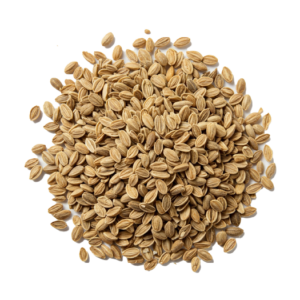 MB_Ingredients_IMG_HERBS_Celery_Seed